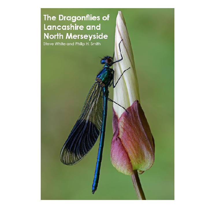 New Atlas – Dragonflies of Lancashire and North Merseyside