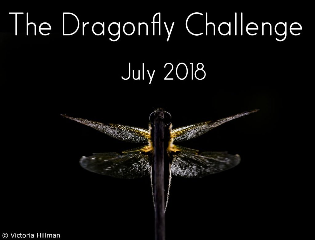 The Dragonfly Challenge 2018