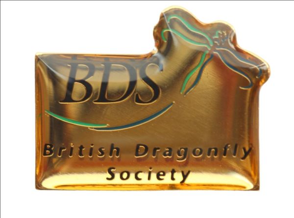 BDS logo pin badge