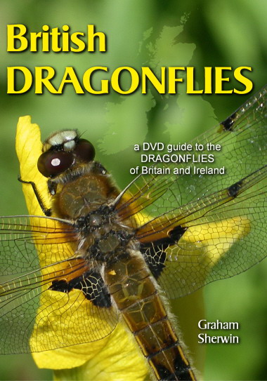 DVD: British Dragonflies
