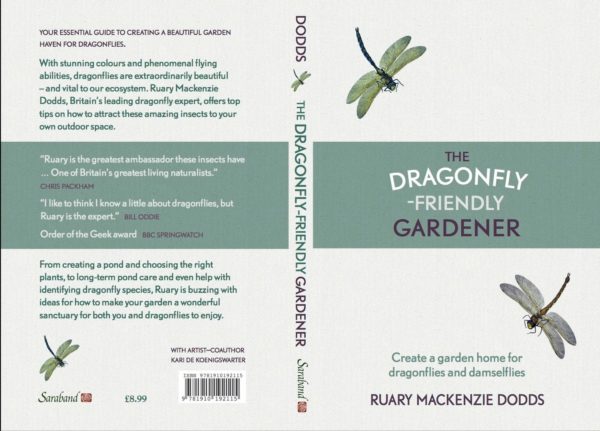 Dragonfly gardener.JPG