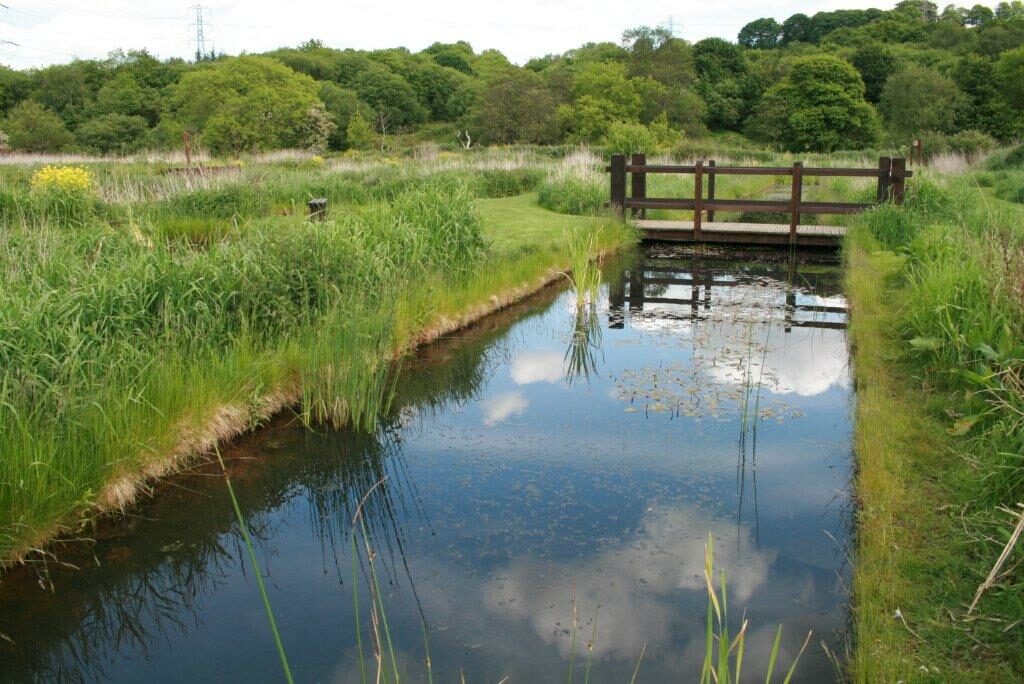 Long ditch and bridge from phase2