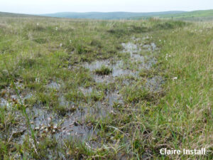 Wales page cons good hab gernos June 2013 Claire Install