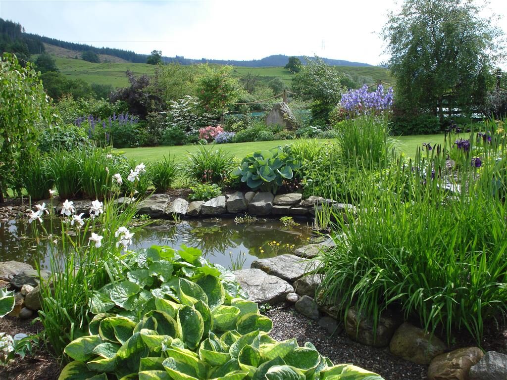 Welcome to Pond Ponderings – a pond blog by gardeners of all experience levels