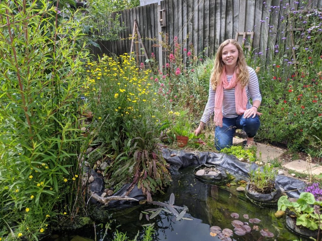 Pond Ponderings – East London Wildlife Pond