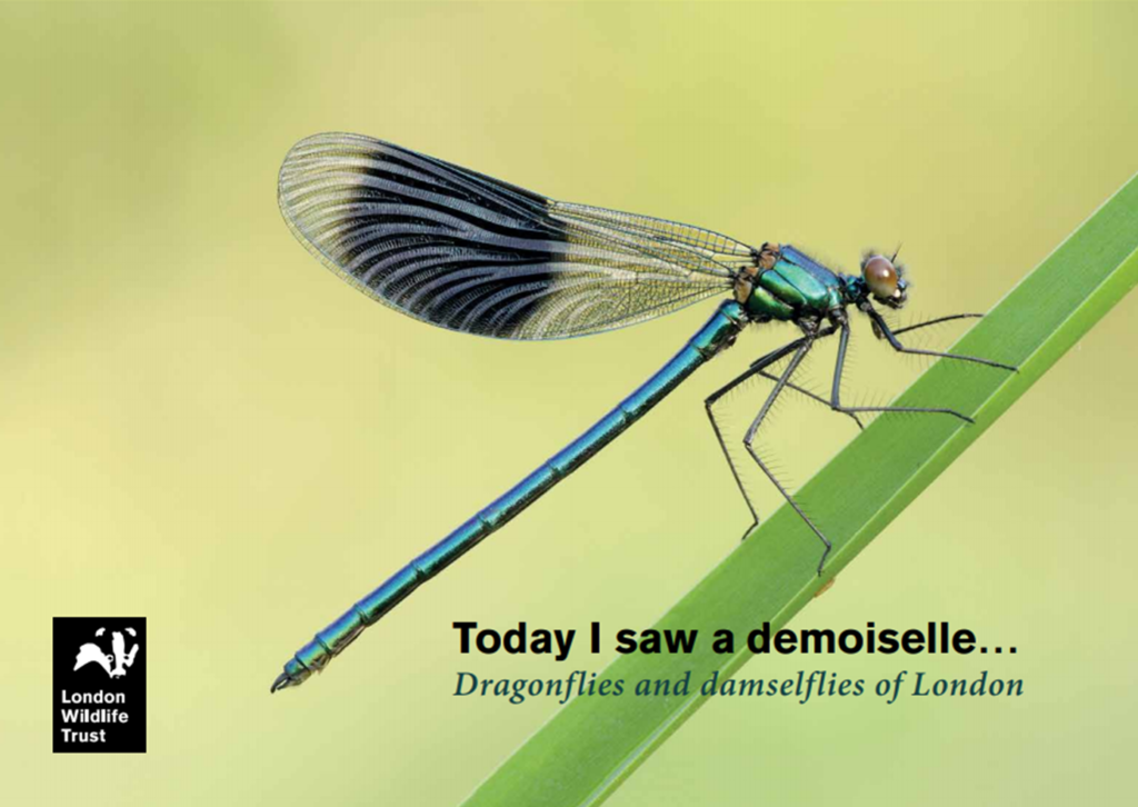 Order your guide to London’s dragonflies and damselflies