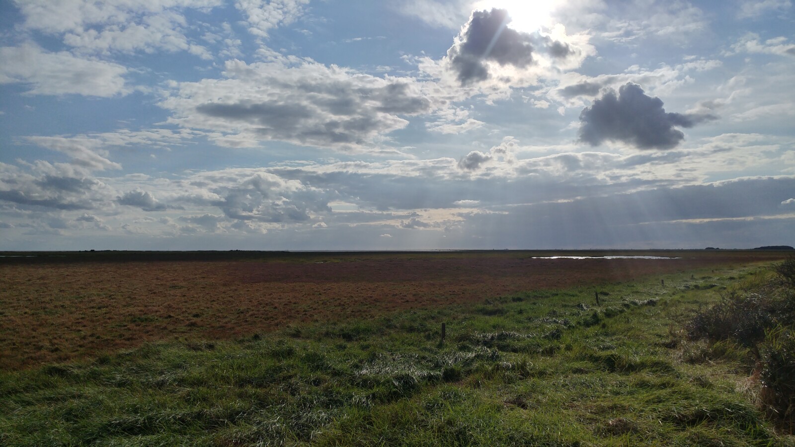 Gibraltar Point National Nature Reserve - British Dragonfly Society