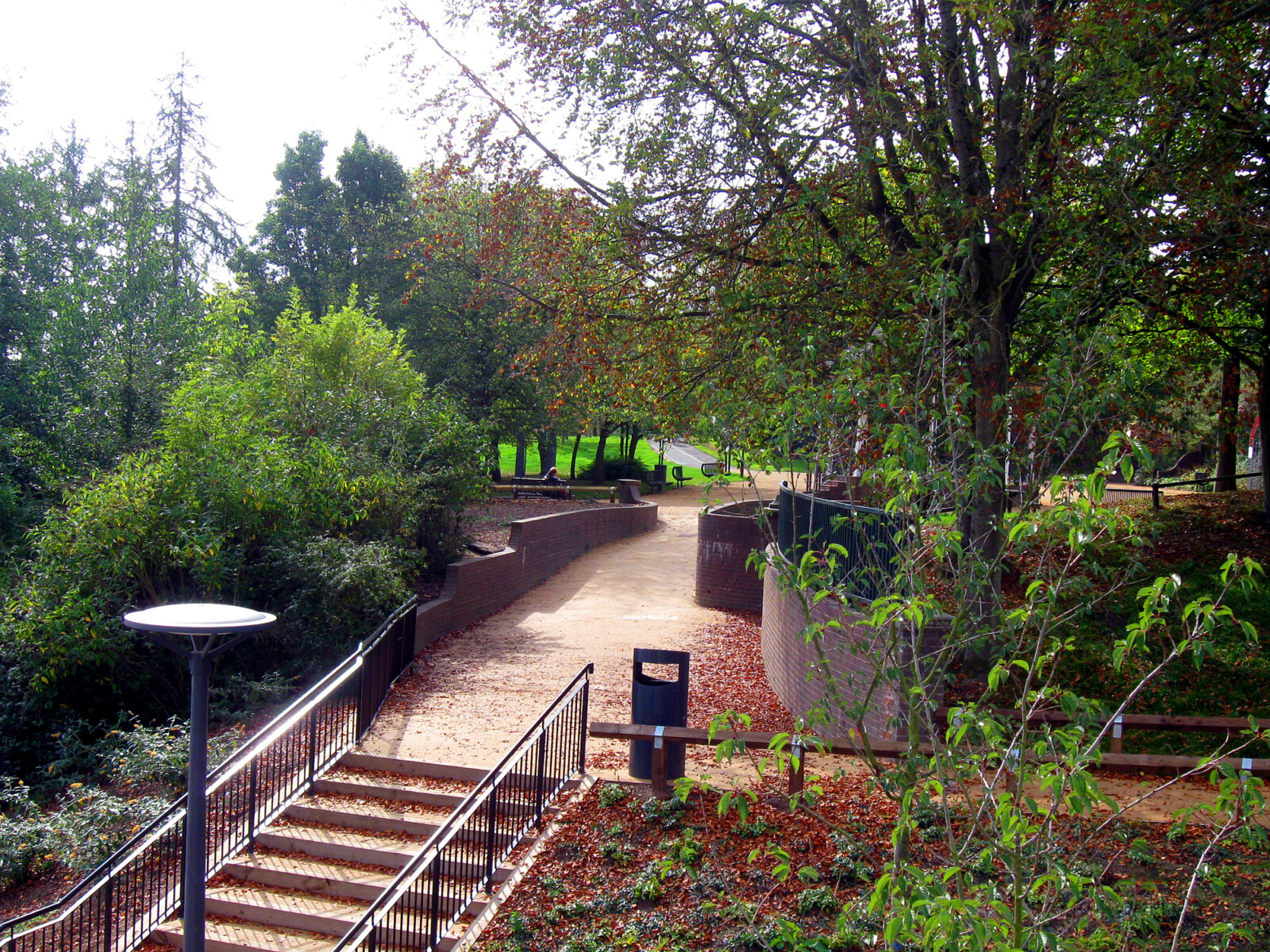 Telford Town Park British Dragonfly Society