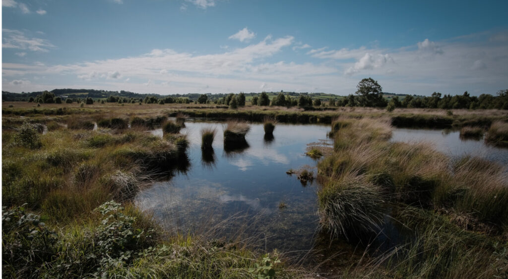 Ambitious project to create 40 miles of welsh bog