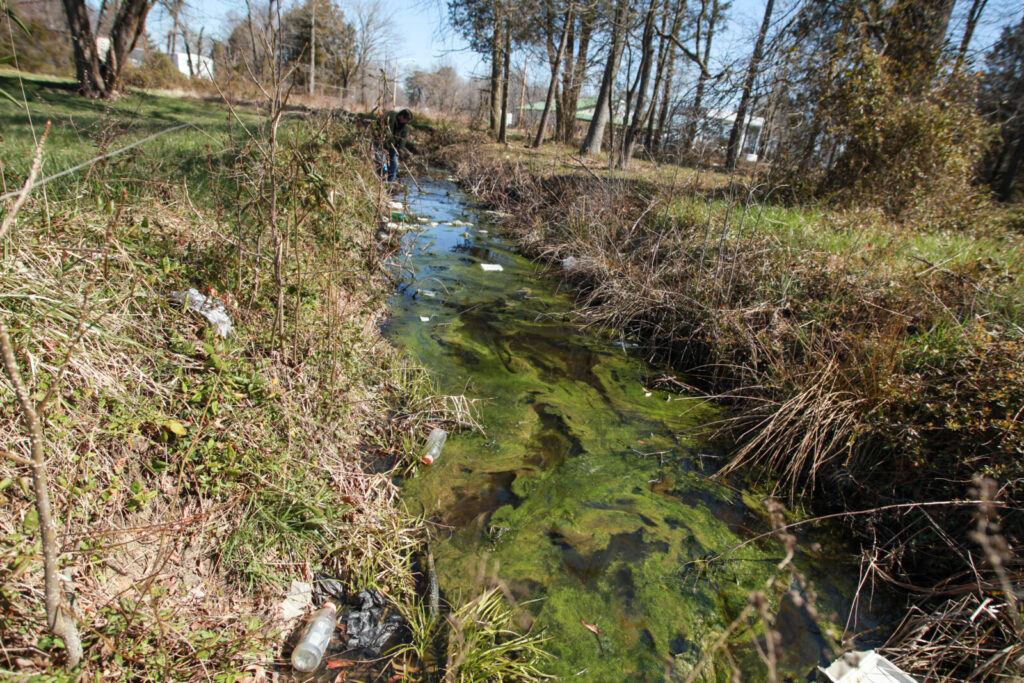 Most of England’s rivers polluted, reports EA