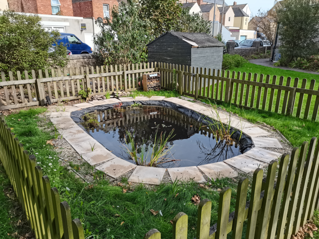 Pond Ponderings – from St. Andrew’s House in Exmouth