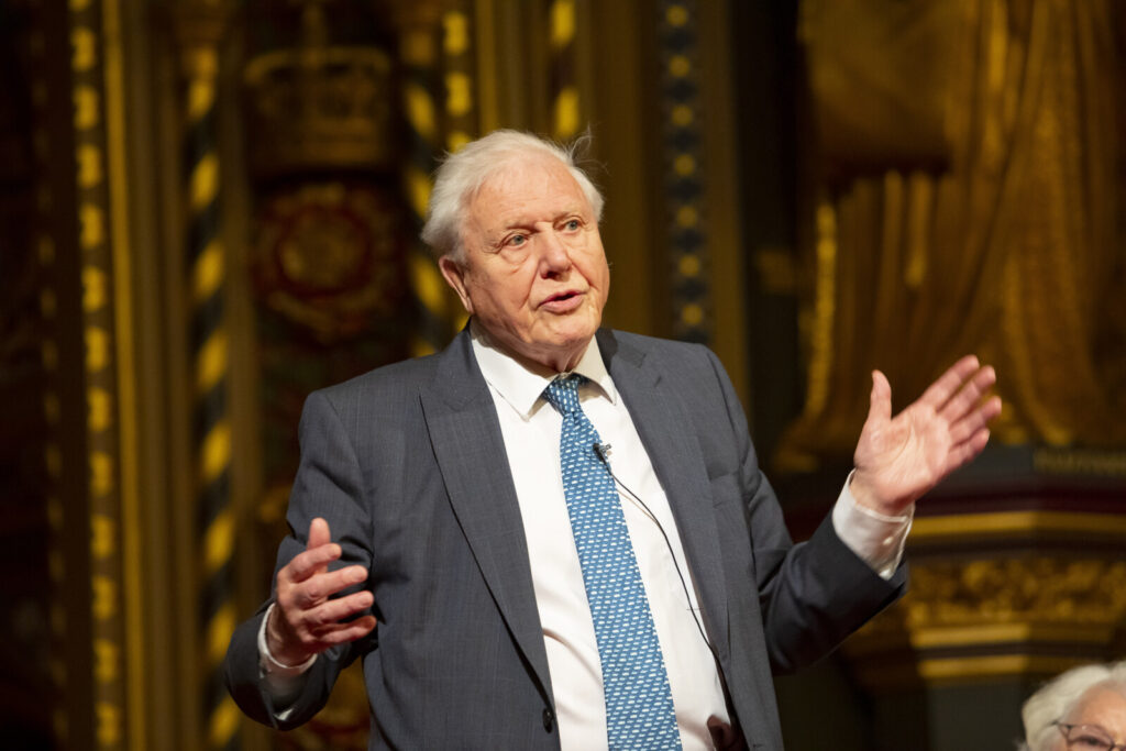 BDS congratulates its Patron David Attenborough on second knighthood