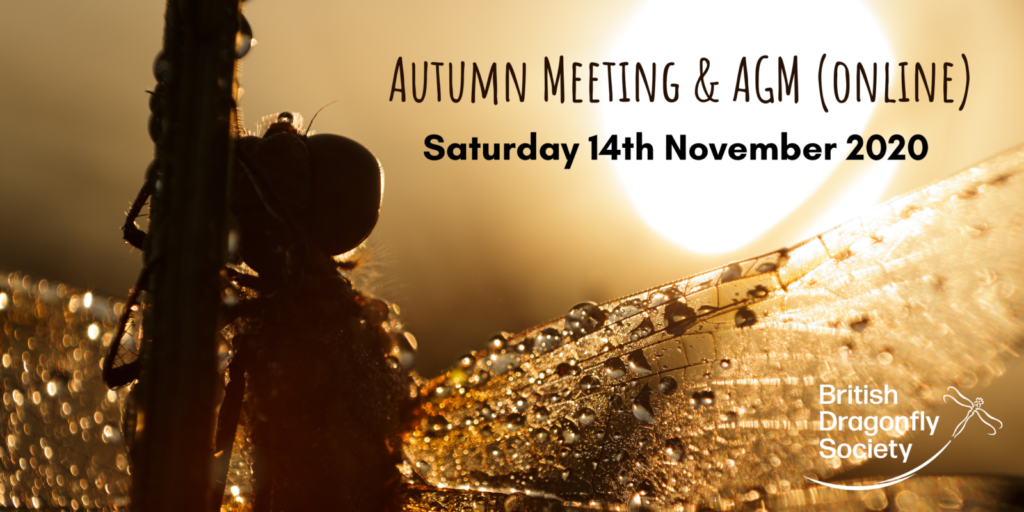 Autumn Meeting Speaker Focus