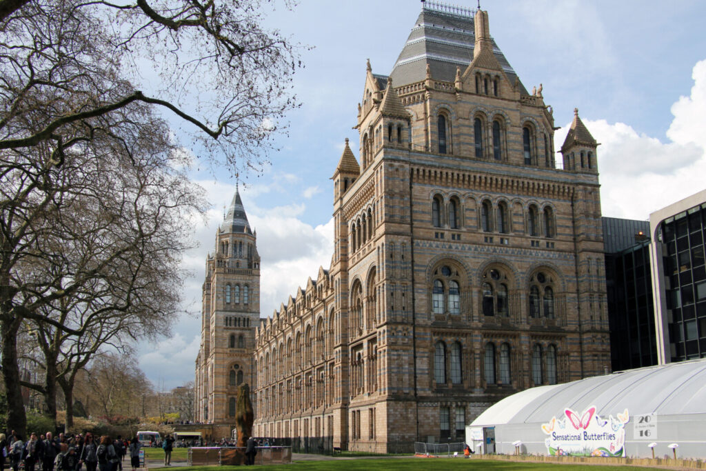 Natural History Museum to be transformed
