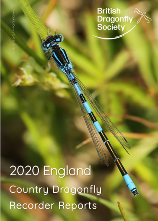 County Dragonfly Recorder Reports 2020