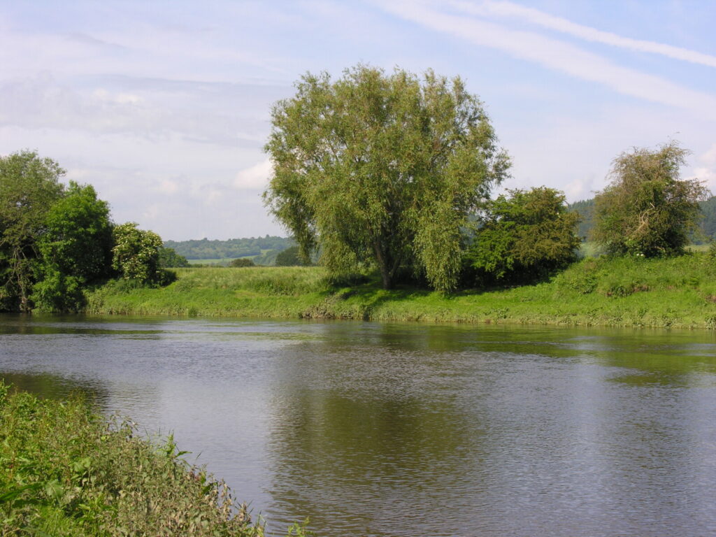 More evidence of toxic pet flea treatment chemicals at ‘damaging’ levels in rivers