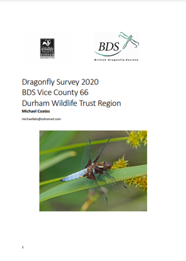 Dragonflies of Durham