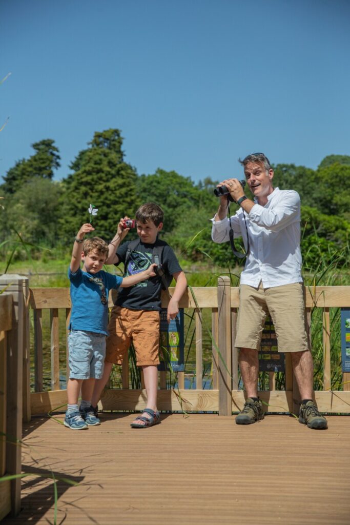 Exbury Gardens Recognised With Dragonfly Hotspot Status