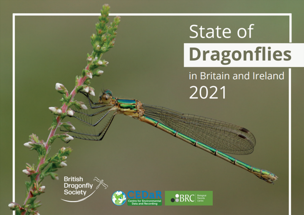 State of Dragonflies 2021 report press release