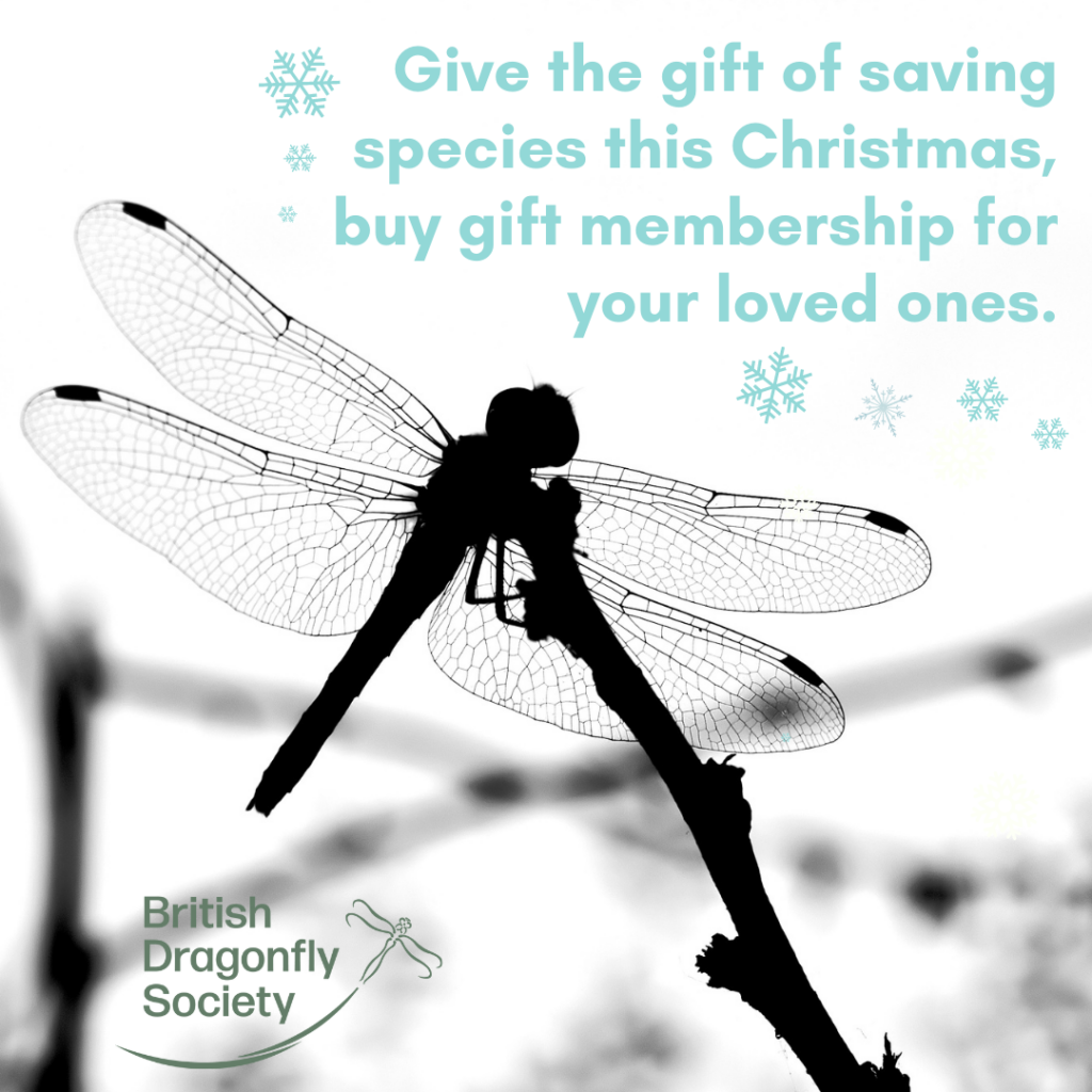 Get Christmas Sorted With Our Gift Membership Offer!