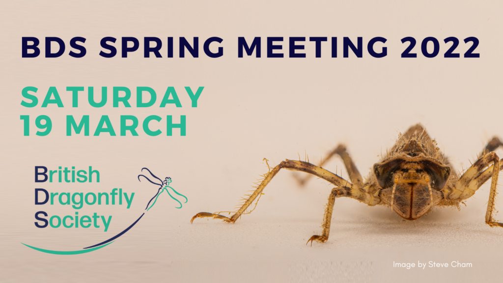 Spring Meeting 2022: give us your feedback