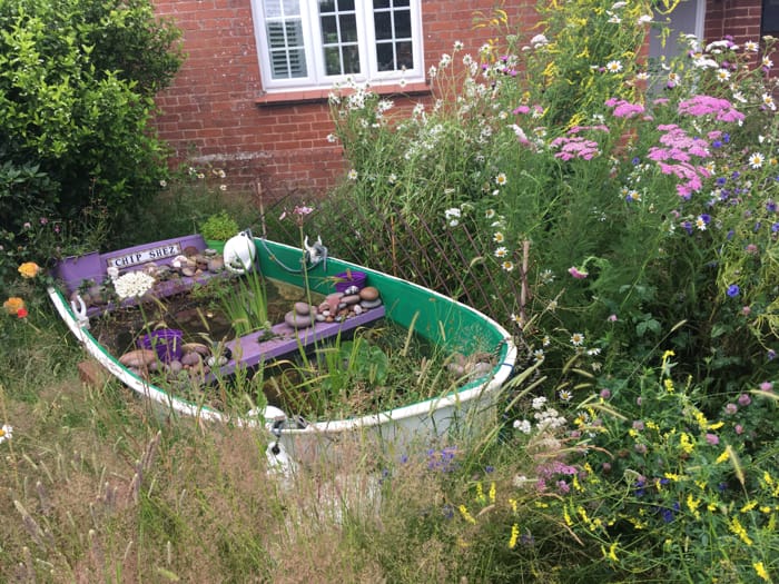 Pond Ponderings – A Boat for Wildlife