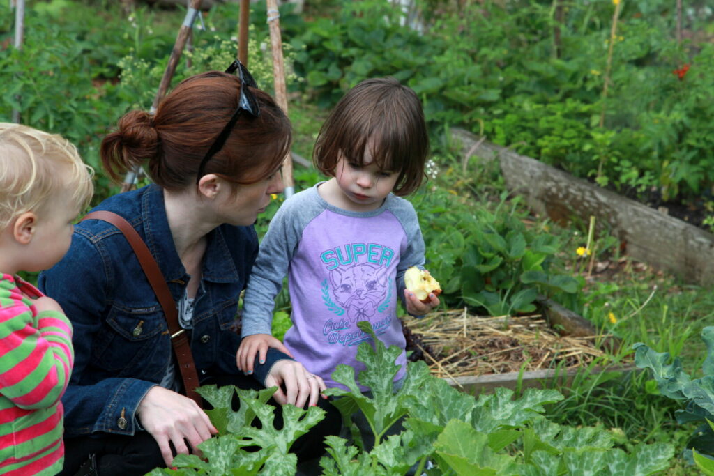Free garden packages for community groups in Wales