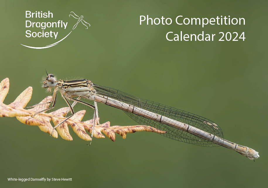 BDS Photo Calendar 2024 get yours now! British Dragonfly Society