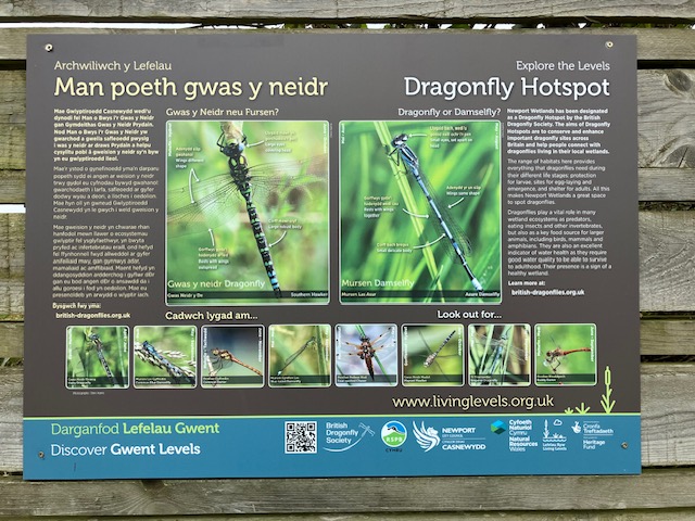 Interpretation board at Newport Wetlands