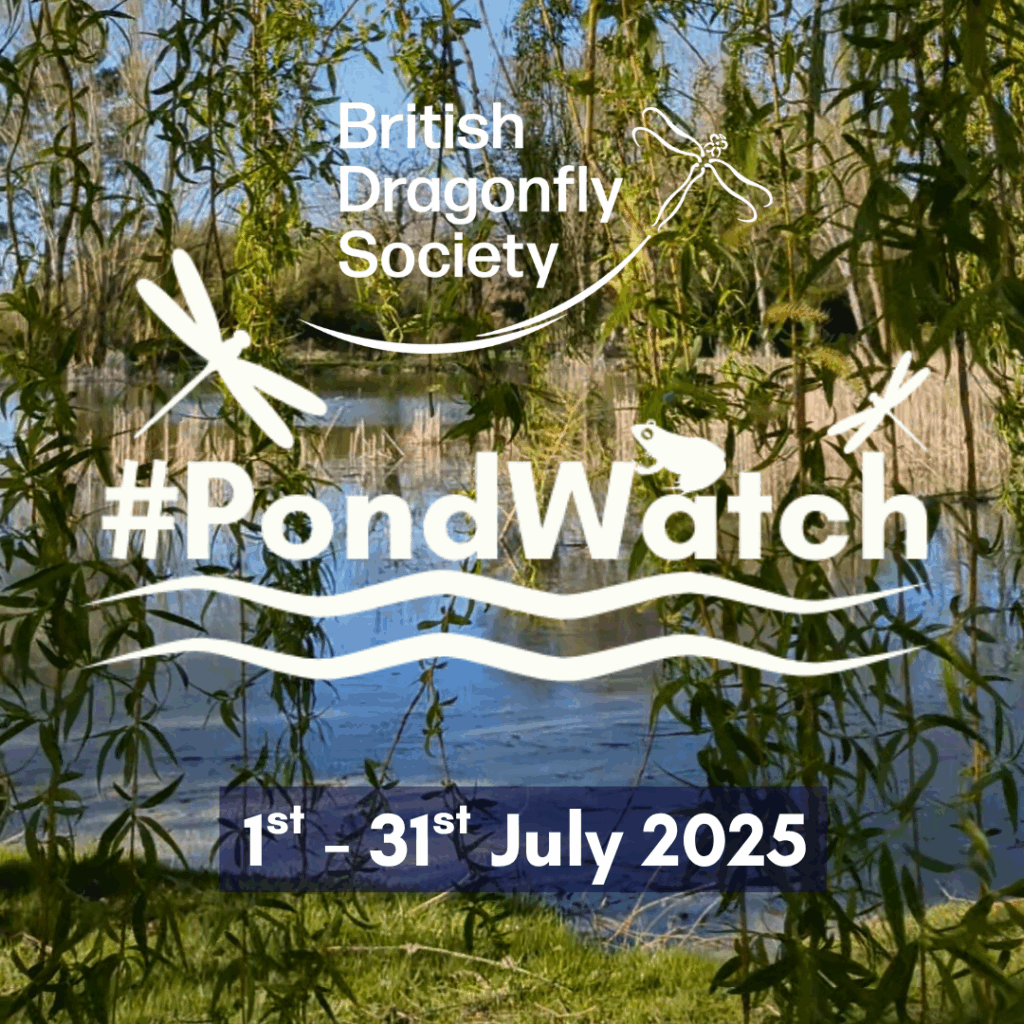 PondWatch 2025