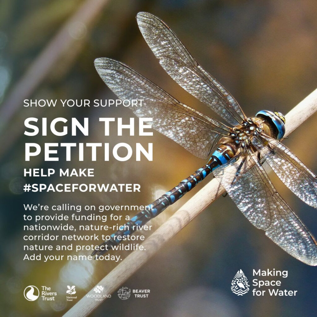 Make #SpaceForWater – Sign the Petition to Restore Our Rivers