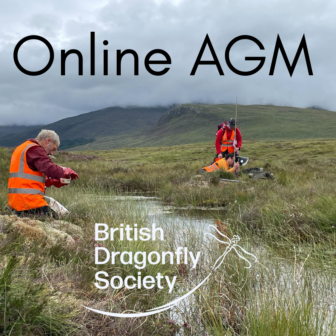 Online AGM