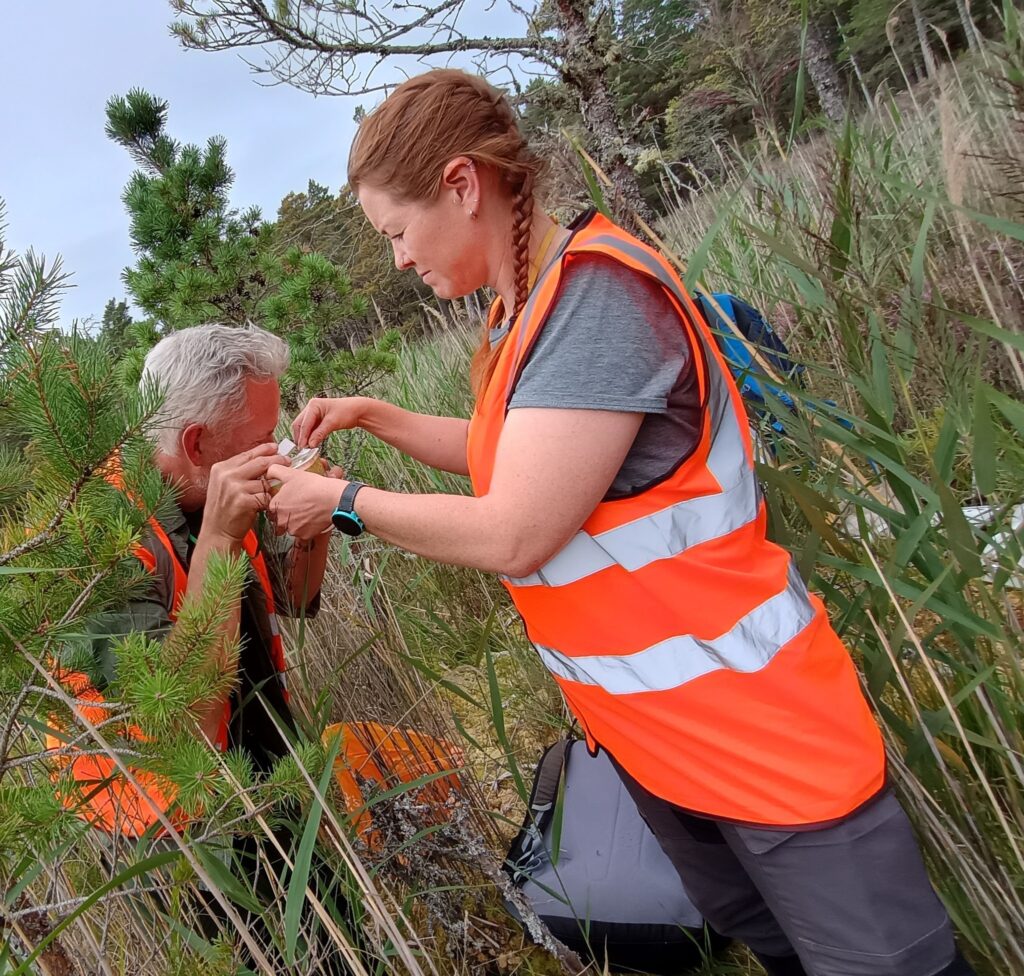 100 Ponds Project Brings Hope for the Northern Damselfly