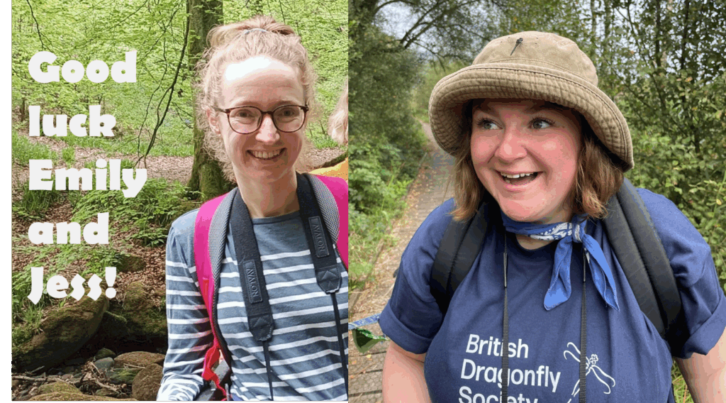 The BDS team says goodbye to Jess Slight and Emily Seccombe