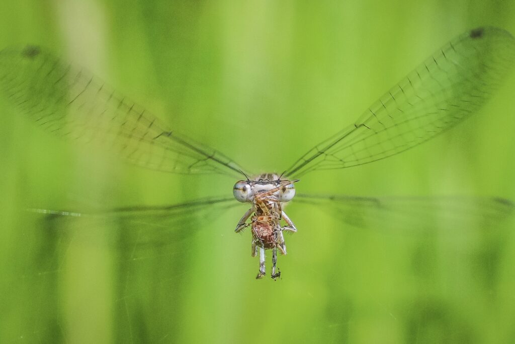 Photo Competition 2025 Winner & Finalists