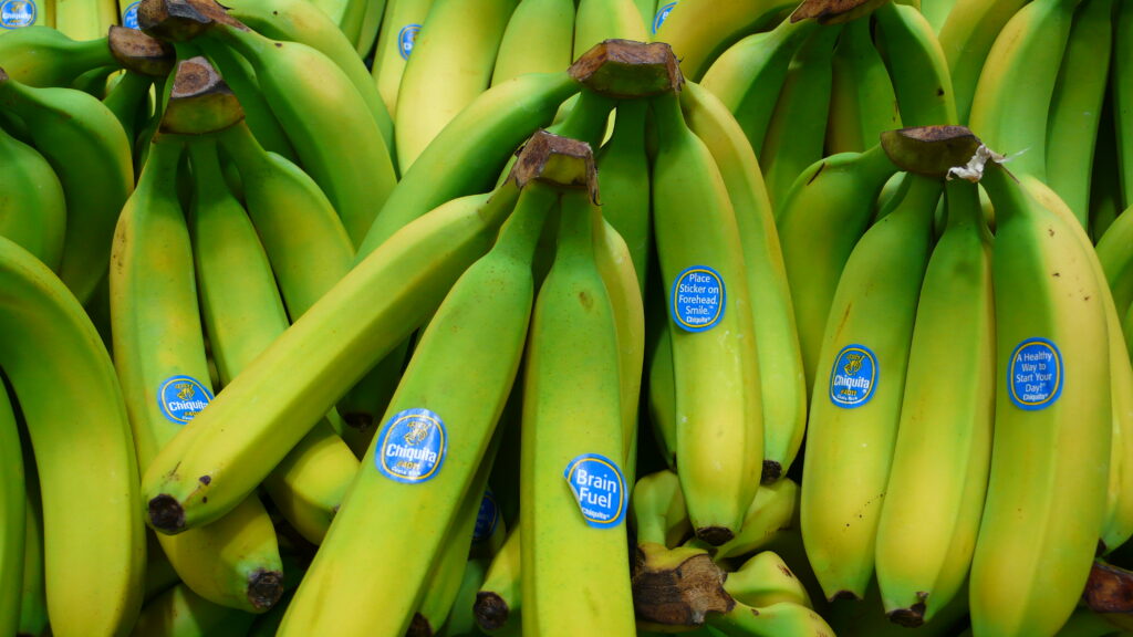 Sign Petition To Ban Plastic Fruit Stickers