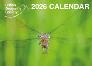 BDS 2026 Calendar