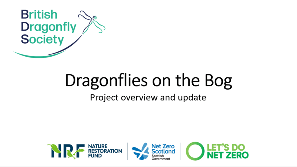 Dragonflies on the Bog Project update