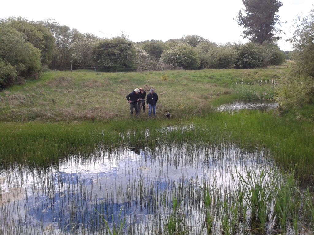 Volunteers needed: Morton Lochs (Tayport), Flanders Moss (Stirling) and Gartcosh Local Nature Reserve