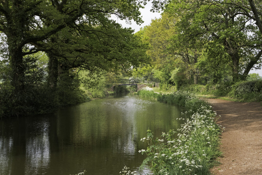 BDS Signs Joint Letter Calling For Restrictions On Pet Flea Treatments